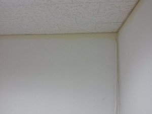 17168224560682.jpg