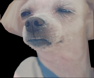 17172513808369.png