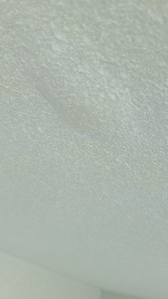 17247738366623.jpg