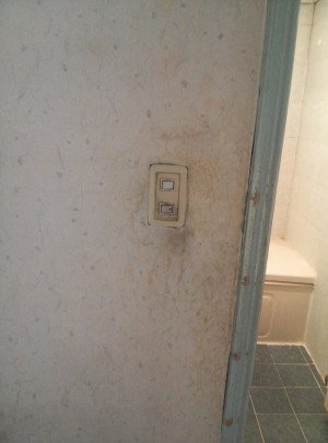 17247748922125.jpg