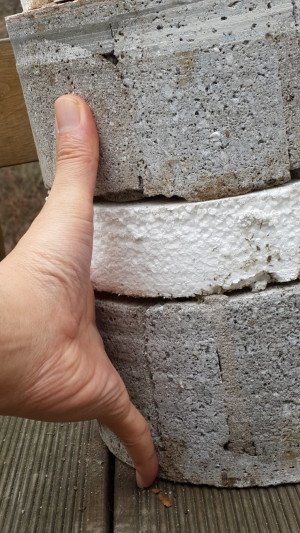 1724775594755.jpg