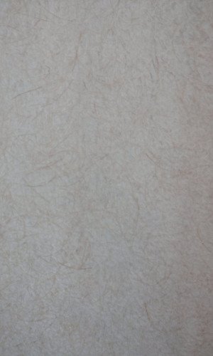 1724775839746.jpg