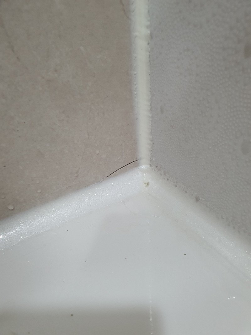 17247769134496.jpg