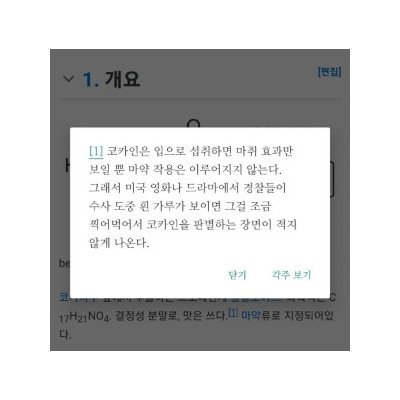 코카인 의외인 점.jpg