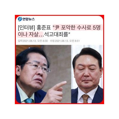팩폭날리는 홍발정