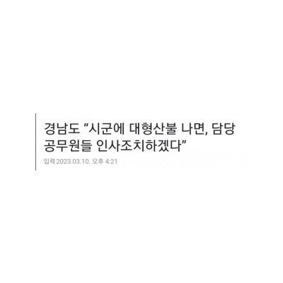산불대책 근황