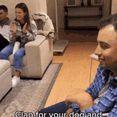 온가족이 리트리버한테 박수쳐주기.gif