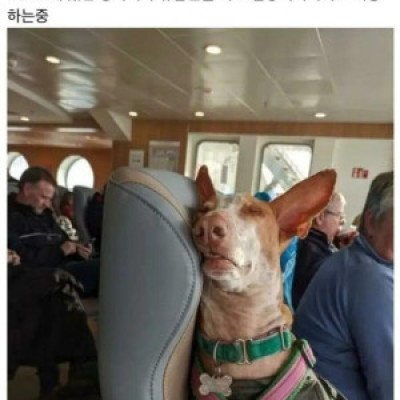 대중교통에서 만난 털털한 친구들