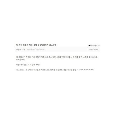 나 전에 유튜버 까는 글에 댓글 달았다가 고소 당함