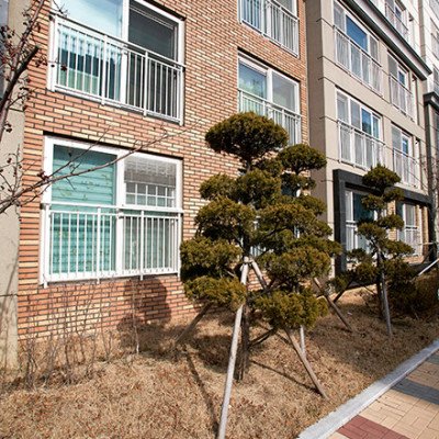 첨부 이미지 13
